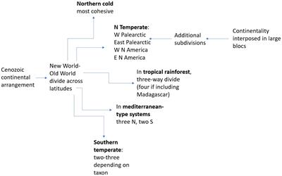 Why we should be looking for longitudinal patterns in biodiversity